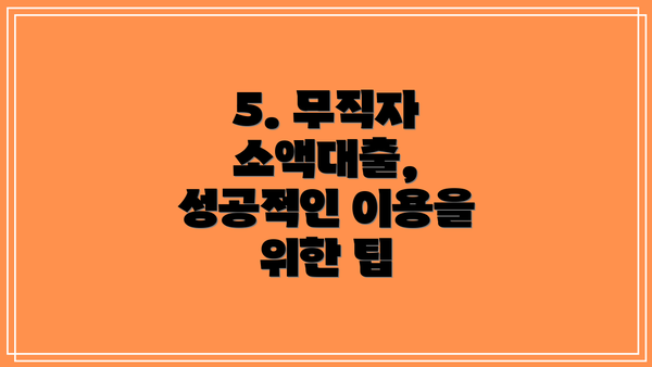 5. 무직자 소액대출, 성공적인 이용을 위한 팁