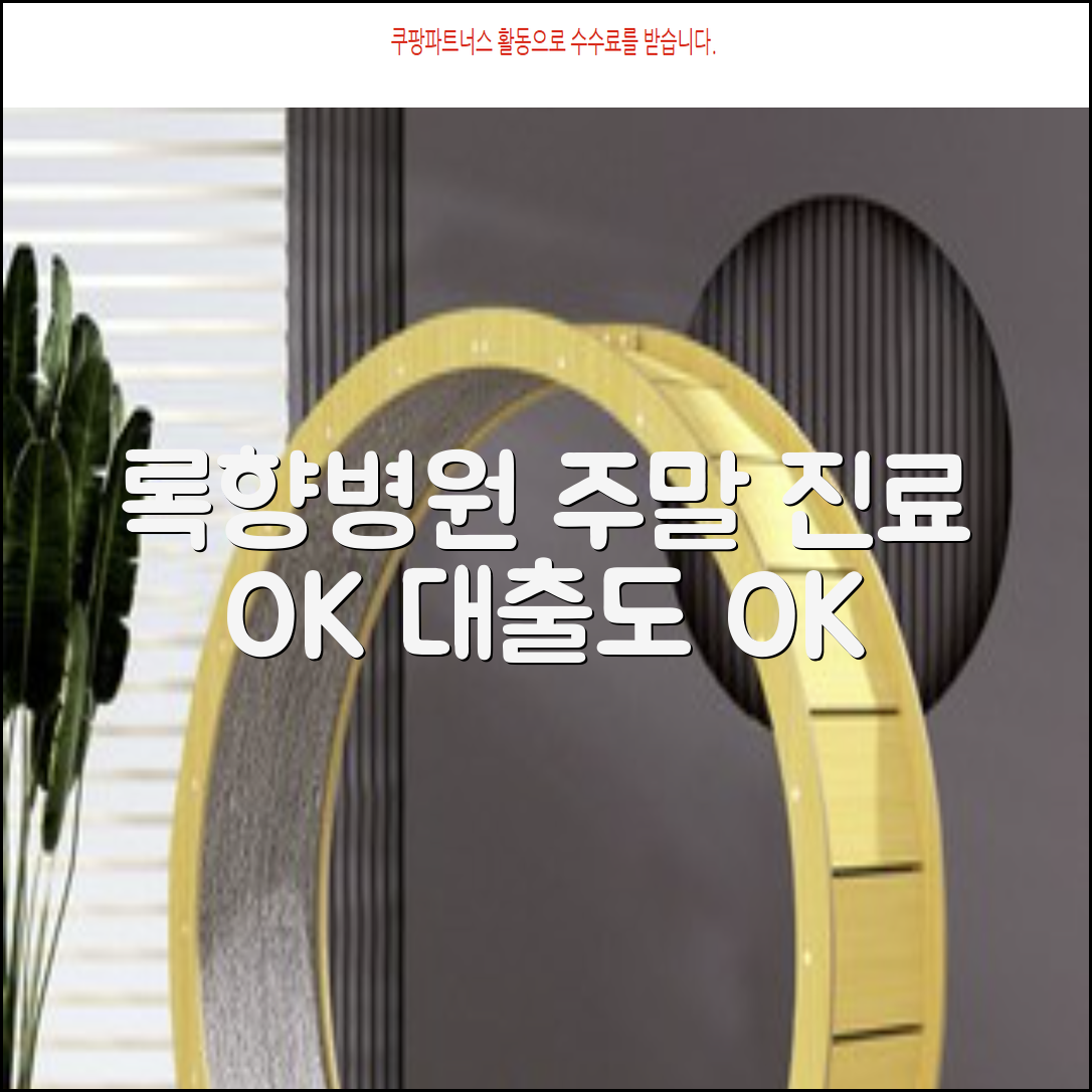 시흥의료법인 록향의료재단 신천연합병원 예약과 진료시간 안내 종합병원 전문의 추천 주말 진료 정보 대출 가능한 곳