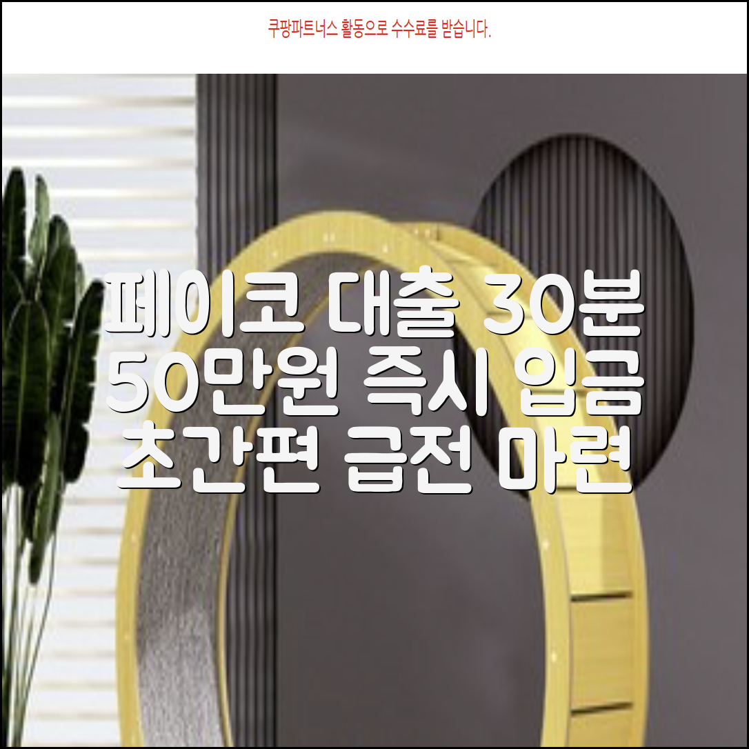 30분 만에 50만원 페이코 대출 빠르게 받는 완벽 가이드 페이코 대출 급전 소액대출 간편대출